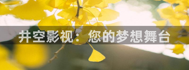 滚动的天空永远滚动怎么下：井空影视：您的梦想舞台