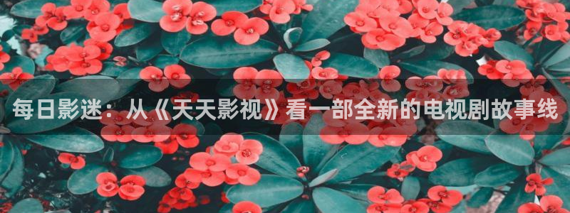 十八岁的天空免费全集：每日影迷：从《天天影视》看一部全新的电视剧故事线
