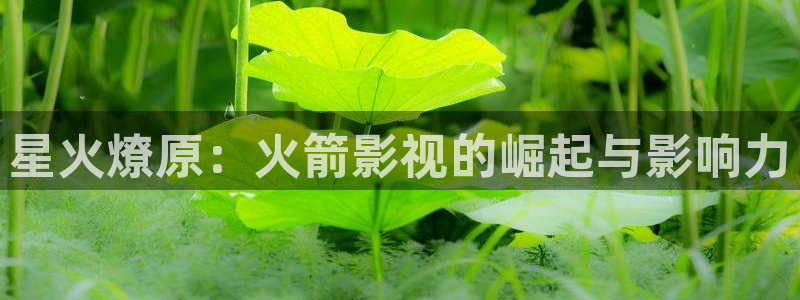 滚动的天空 完整版安卓版