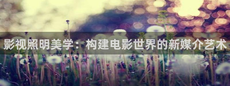 天空之上在线观看