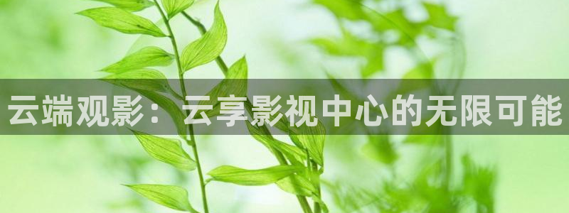 d35cc天空免费资料大全