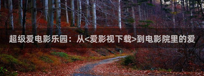 西藏的天空在线观看